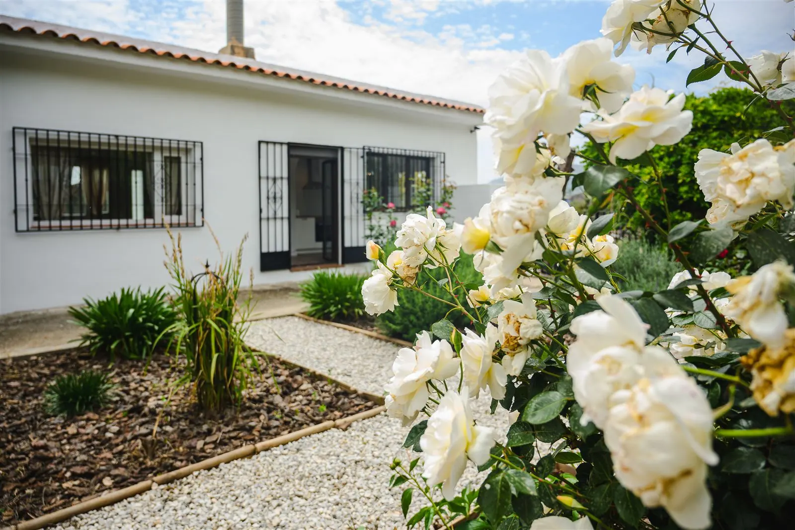 Entrada de la casa con rosales blancos en flor